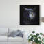 «Blue Cat» par Alain Grillet - reproduction de photo sur toile tendue-626050933