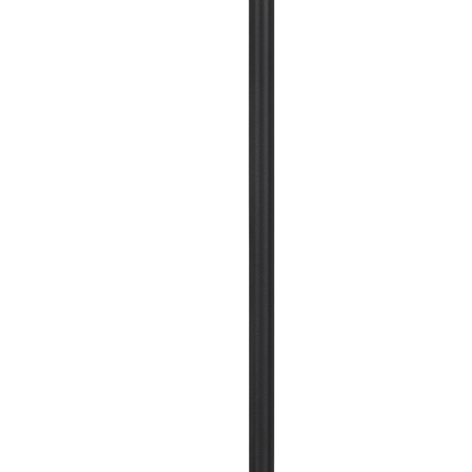 Mayeul Metal USB Desk Lamp, Black