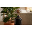 Sagebrook Home 20" Oscar Small Tiger's Eye Stone And Metal Bottle-1079794894