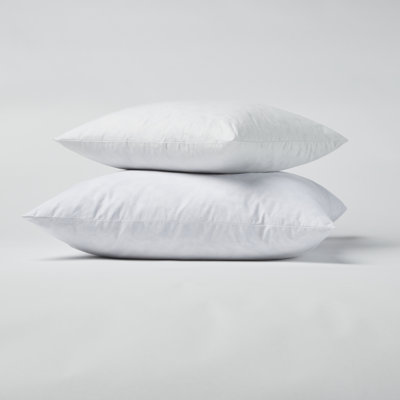 Feather Sham Insert - Square Feather Filled Decorative Pillow Insert - Twin Pack - 22" x 22" - White