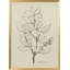 Nature Inspired " 1" Framed Print Wall Art-1676378188