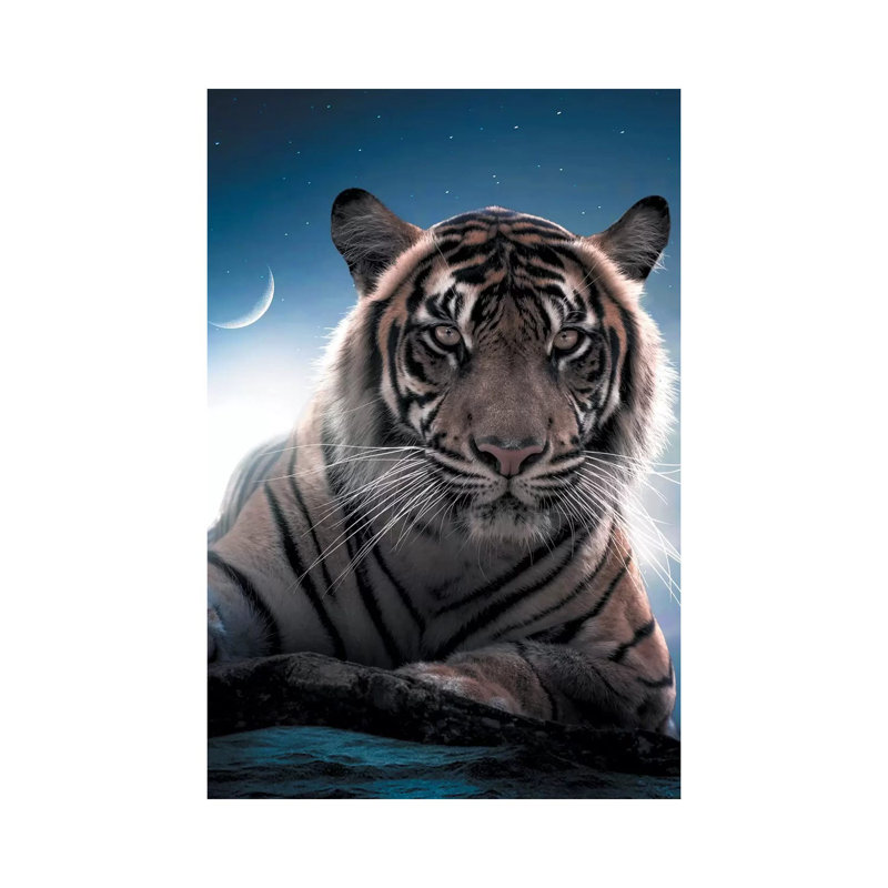 Tiger Moon by Zenja Gammer - Wrapped Canvas Print, 30.48 cm H x 45.72 cm W