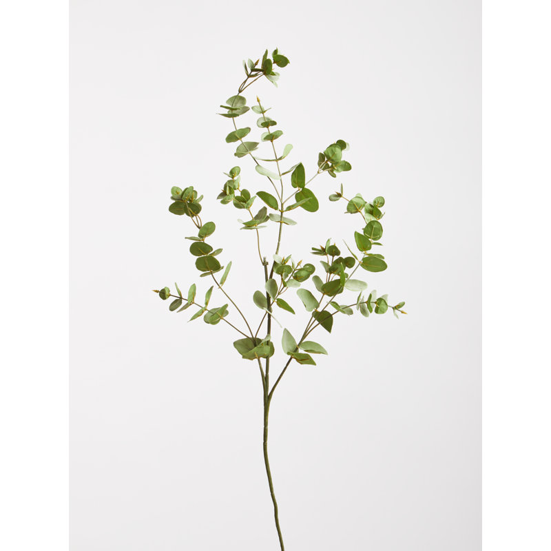 76cm Eucalyptus Branch