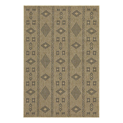 Indoor/Outdoor Area Rug