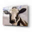 «Serious Cow» par John Silver-101650158