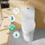 Toilette allongée à une pièce 19 po ADA