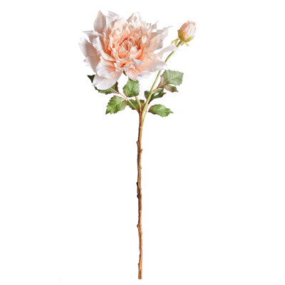 Tige de dahlia 21,5 po