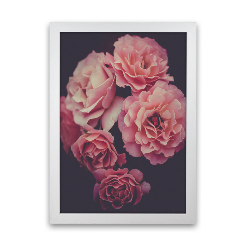 Dreamy Roses - No Frame Print, White Framed, 88cm H x 64cm W x 3cm D
