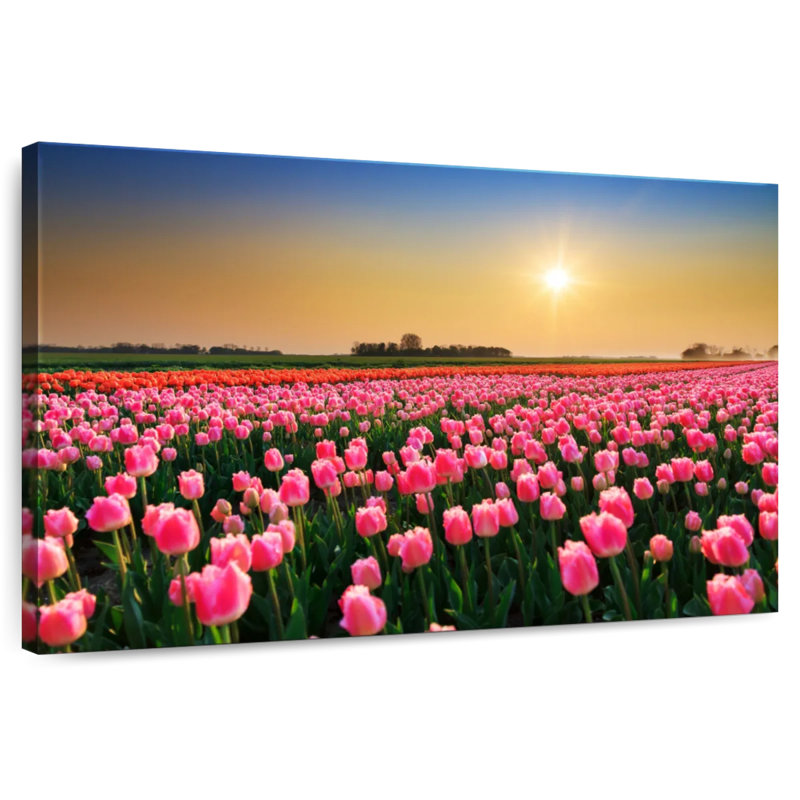 Alvord Netherlands Tulip Field, 20" H x 30" W