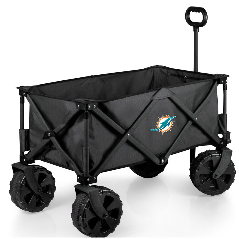 Chariot Adventure, Dolphins de Miami