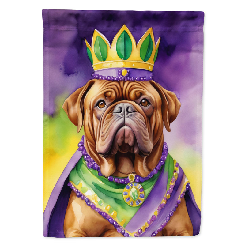 Double Sided 40'' H x 28'' W Polyester Mardi Gras House Flag