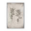 «Wildflower Journal Vintage VII» par Nathan Larson, reproduction d'art-114322833-114322834