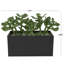 Bedfo 6,95 po plante succulente en pot en céramique