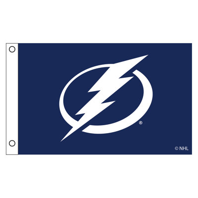 Double Sided 36'' H x 60'' W Polyester House Flag