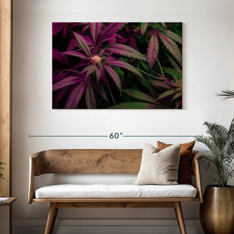 Lavande, marijuana, H 30 po x l 45 po