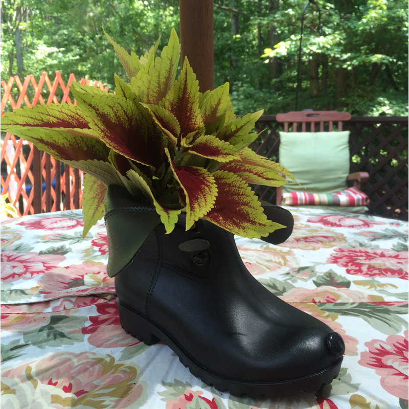 Boot Buddies Cody Dog Planter