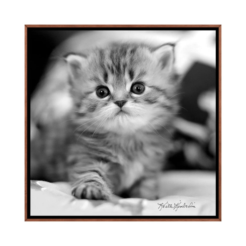 Mine by Keith Kimberlin - Print on Canvas, Classic Brown Wood Framed, 66.04 cm H x 66.04 cm W