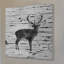 « cerf bouleau écorce » par amanda greenwood, reproduction d’art sur bois blanc-17716529