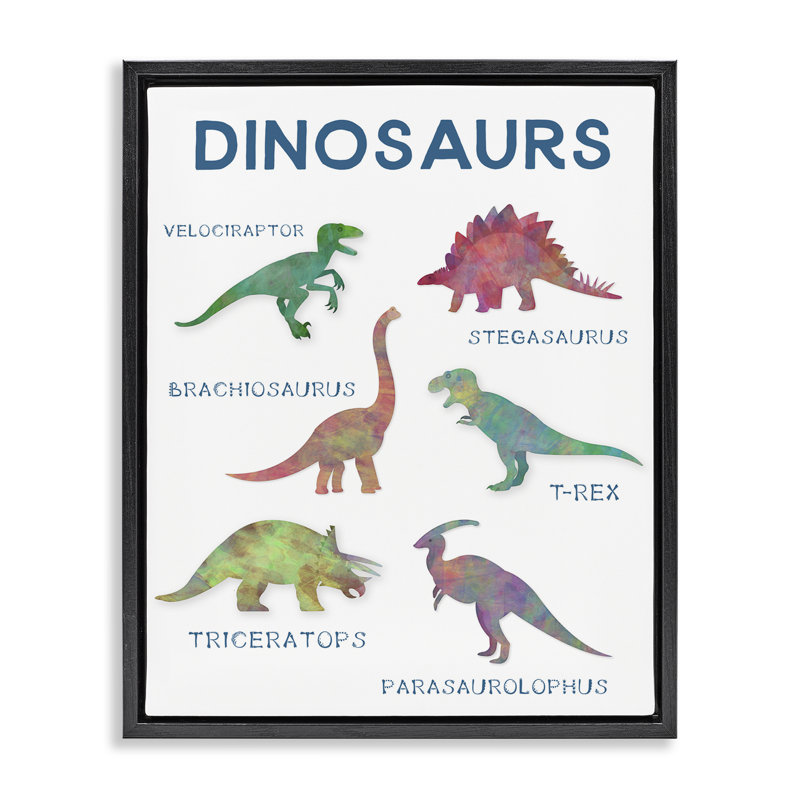 Cadre flottant simple de dinosaures pour l'éducation, design par CAD Designs, Cadre flottant noir de jais, H 21 po x l 17 po