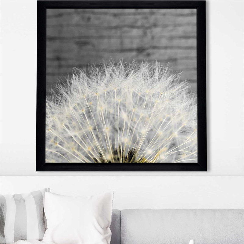 " Delicate Dandelion ", Black Framed, 31.5" H x 31.5" W x 1" D