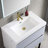 Fahriye 30'' Single Bathroom Vanity with Acrylic Top-1083682126
