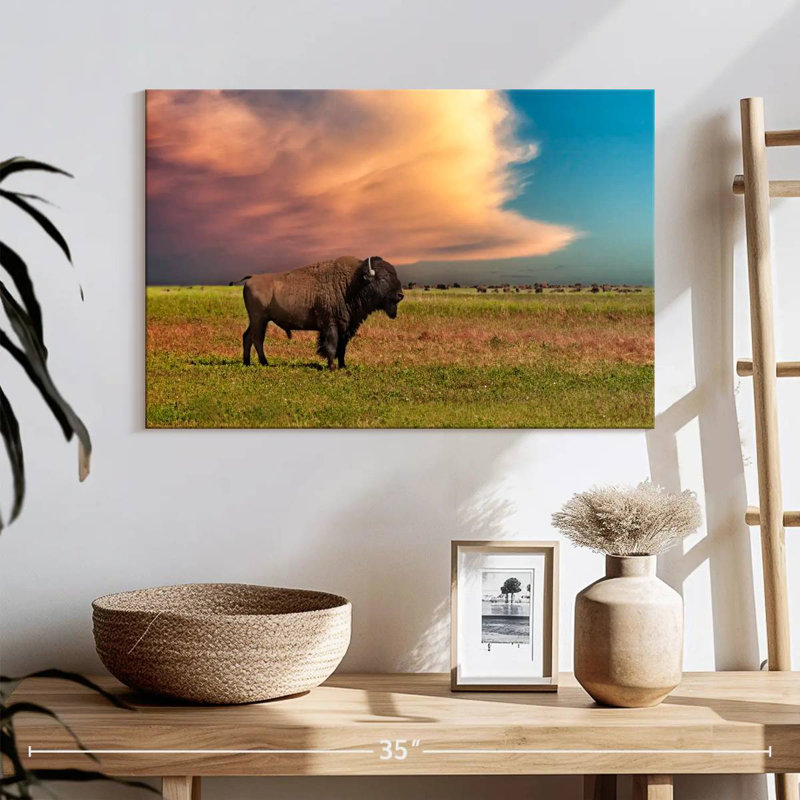 Bison Brampt Badlands, H 16 po x l 24 po