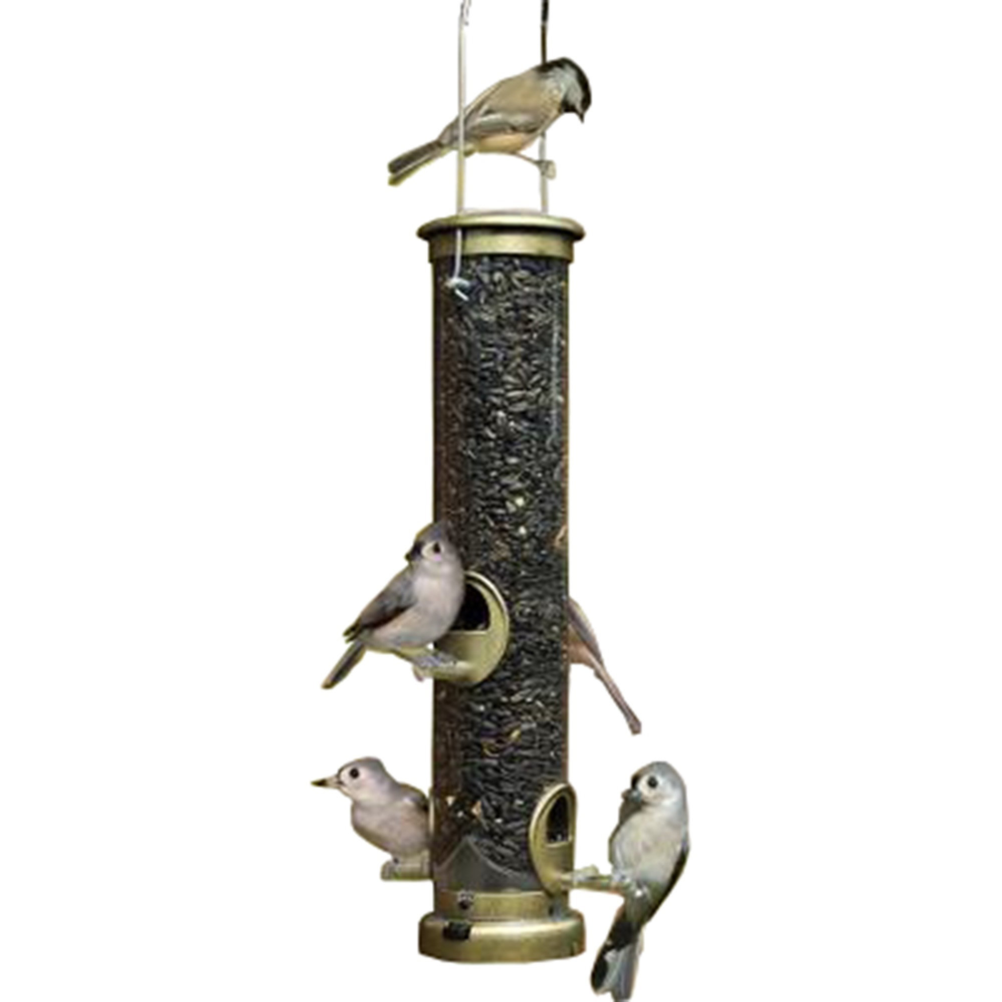 Arlmont & Co. Laiden Hanging Tube Bird Feeder | Wayfair