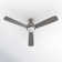 Erina 52'' Ceiling Fan with LED Lights