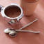 Exotique Platinum Mini Spoon