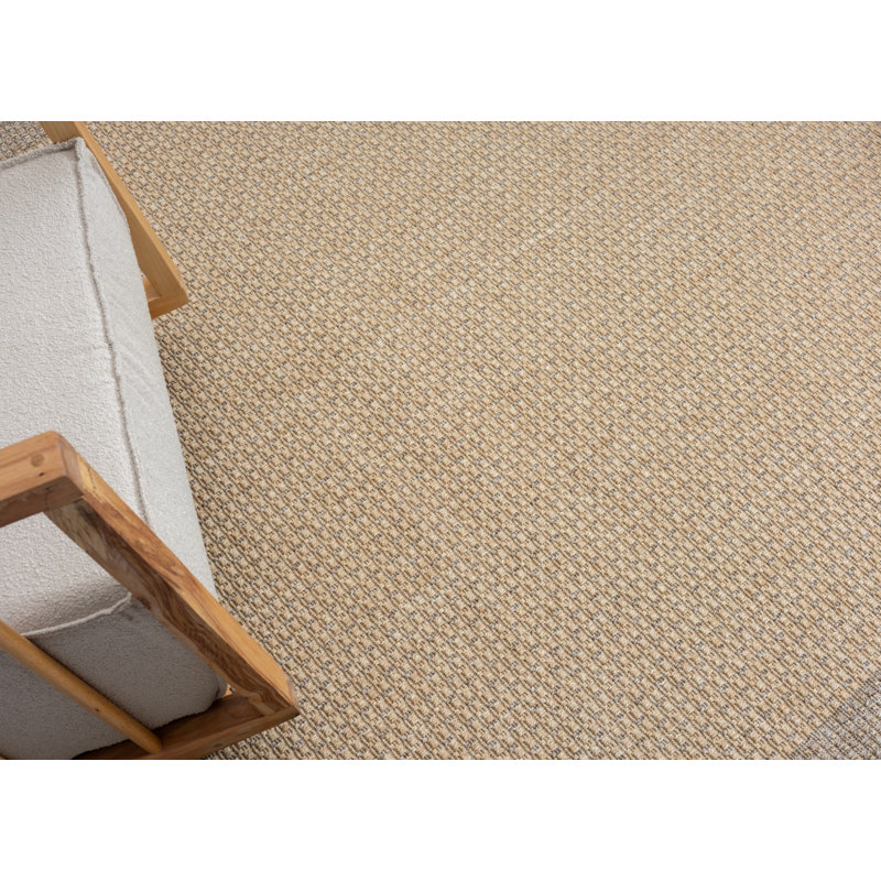 Alethea Indoor / Outdoor Area Rug, Rectangle 200 x 300cm