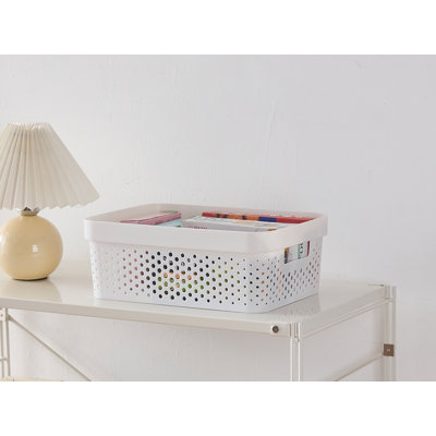 Rebrilliant Plastic Storage Tub & Tote