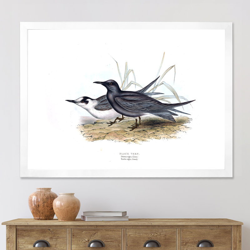 Oiseau rétro de l'Europe II - peinture sur toile, H 30 po x l 40 po x 1,5 po, Cadre photo blanc