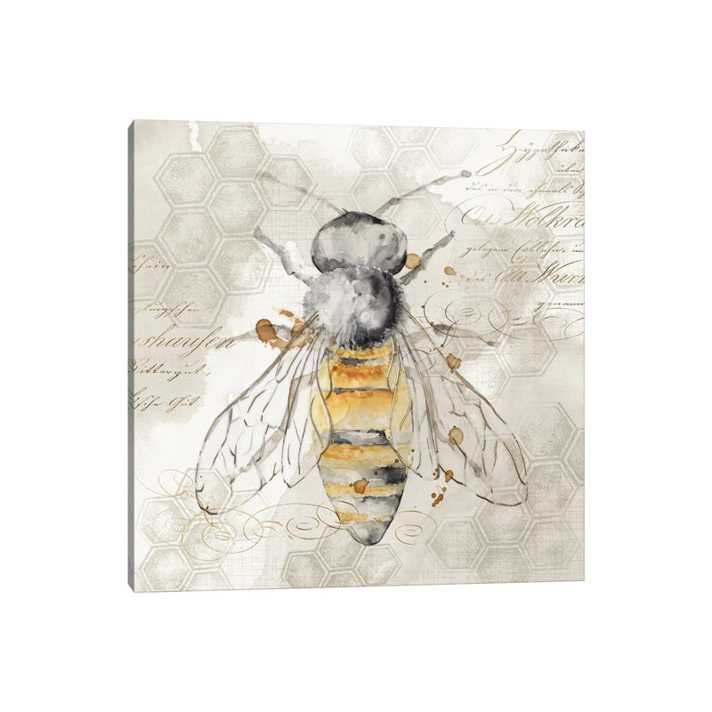 Queen Bee II by Eva Watts - Wrapped Canvas Print, 30.48 cm H x 30.48 cm W