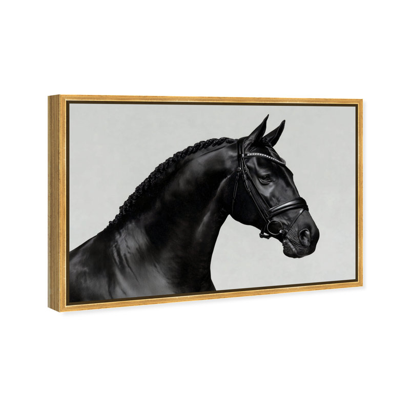 Midnight Majesty I Print by Oliver Gal, 31"H x 21"W, Gold Floater Frame