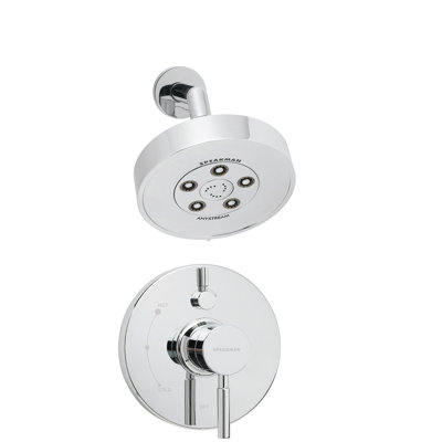 Neo Thermostatic and Pressure-Balanced Shower Faucet