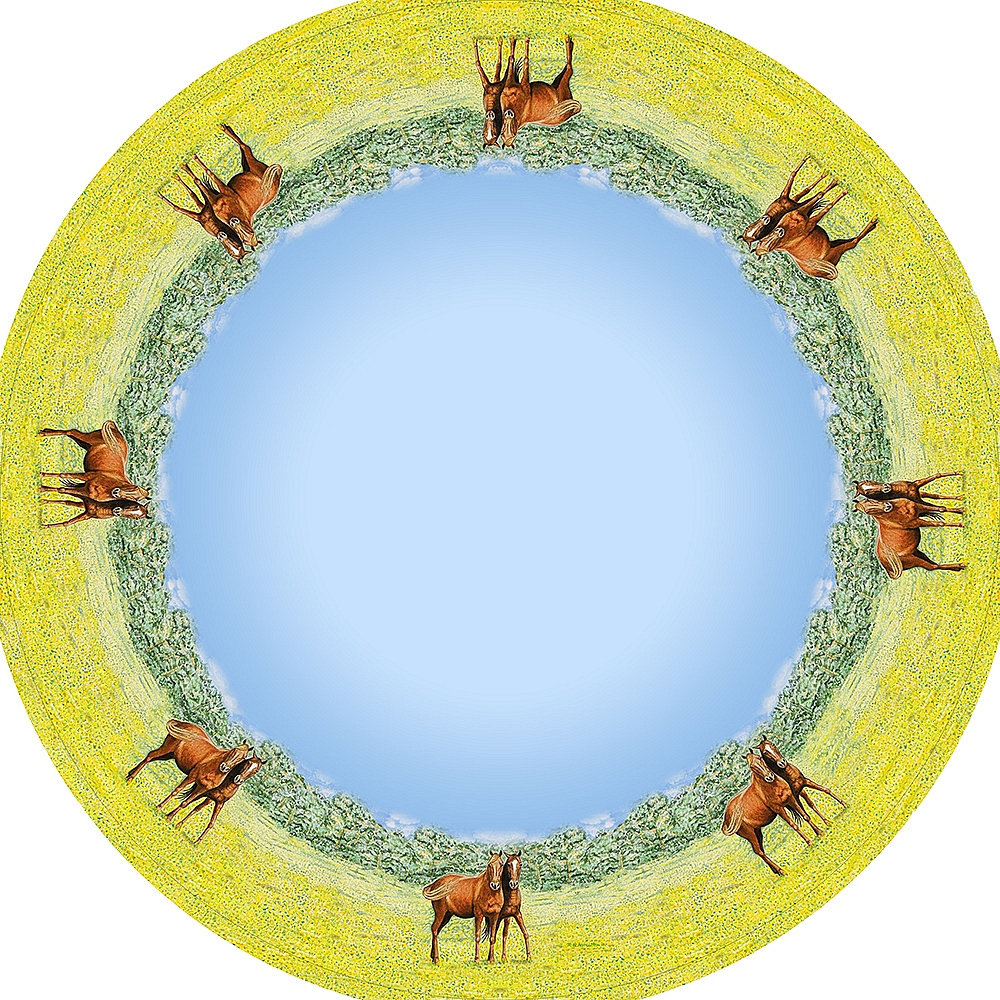 Horse Round Tablecloth Betsy Drake Interiors 