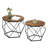 Apison 2 Piece Coffee Table Set-1893290030