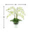 Orchid Floral Arrangement in Vase