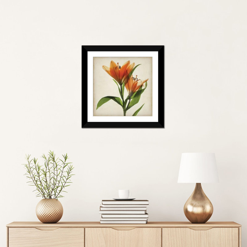 «Parchment Flowers X», impression sur toile, H 16 po x l 16 po x P 1 po, Papier d'art encadré noir, Blanc