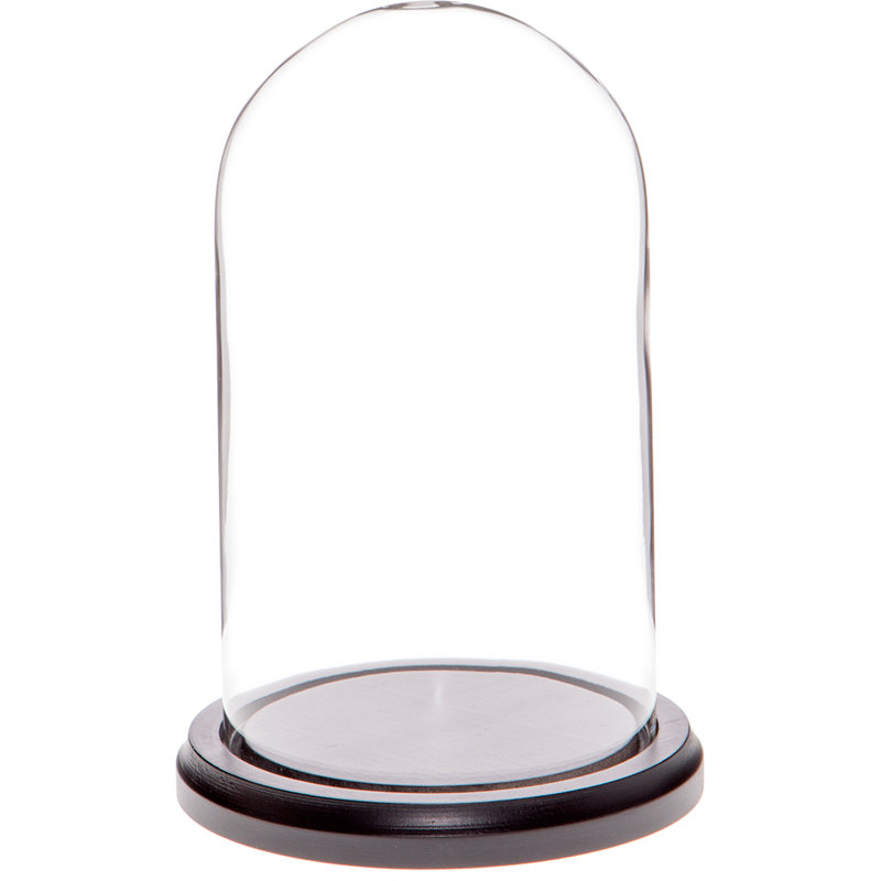 Jenett 4" x 7" Glass Display Dome Cloche, Black Wood Base