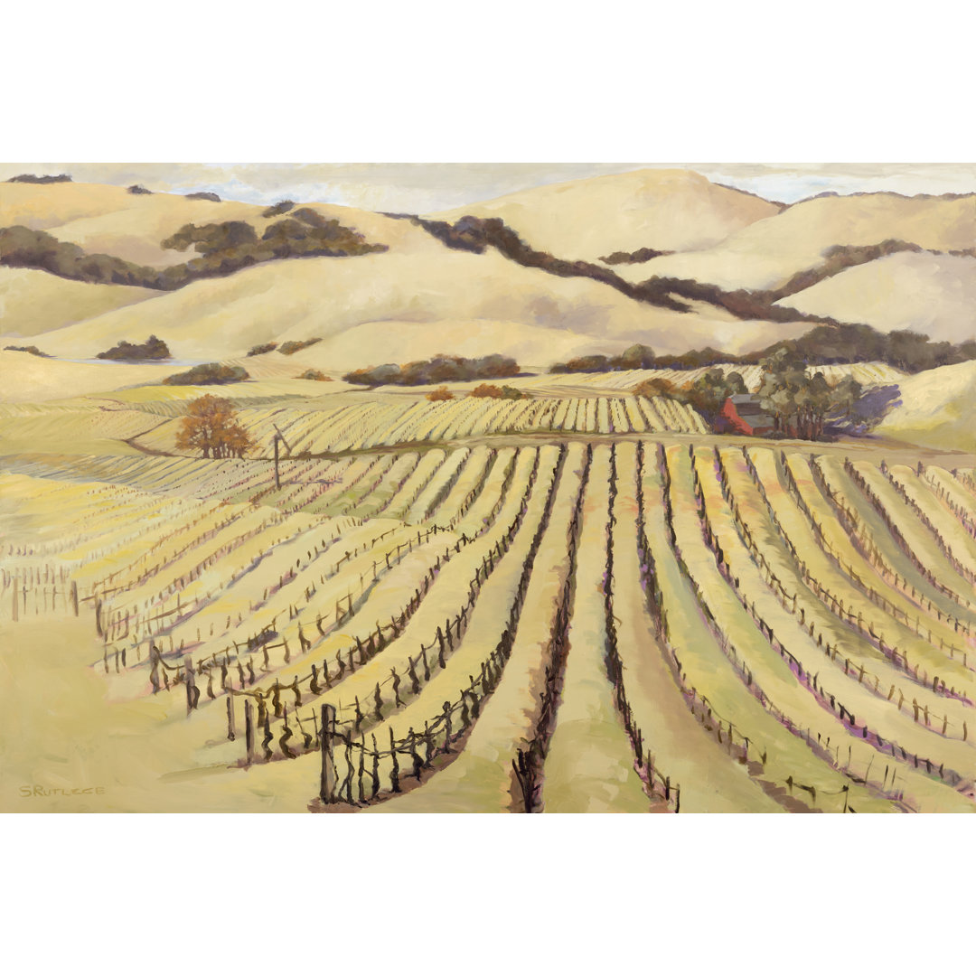 Leinwandbild Summer Vineyard von Silvia Rutledge