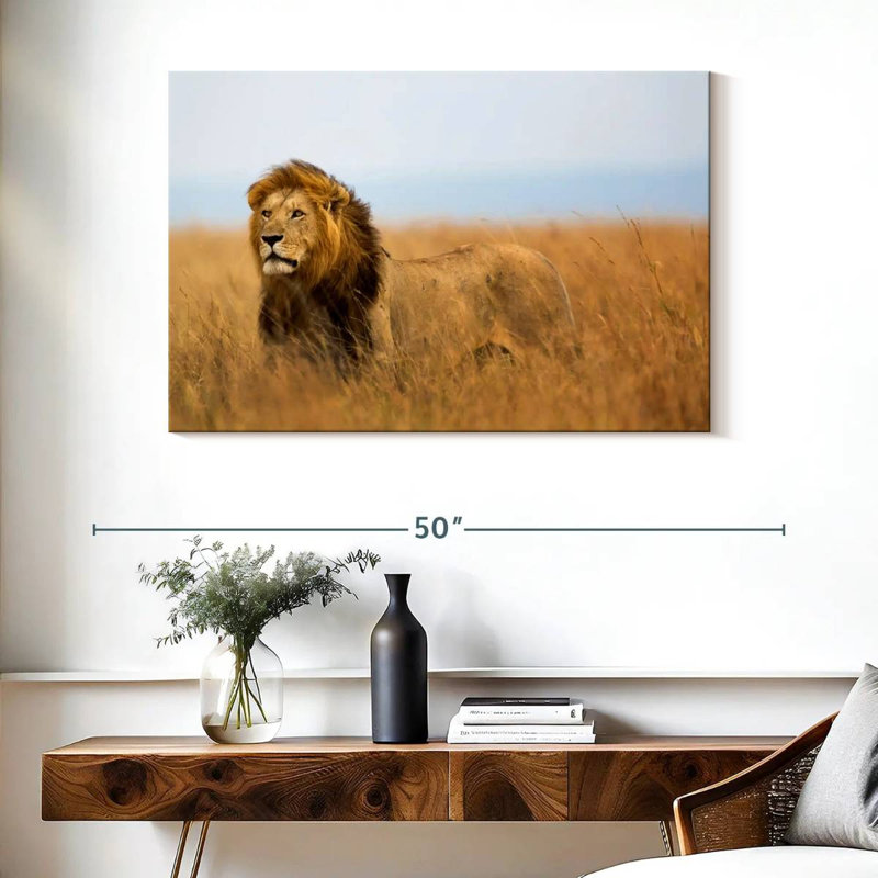 Lion chassant en safari, H 26 po x l 39 po