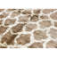 Hand-Knotted High-Quality Brown Area Rug