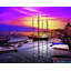 Magic Harbor Print by Leonard Askowitz