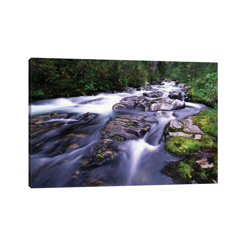 Paradise River, Mt Rainier National Park, Washington by Tim Fitzharris - Wrapped Canvas Gallery-Wrapped Canvas Giclée
