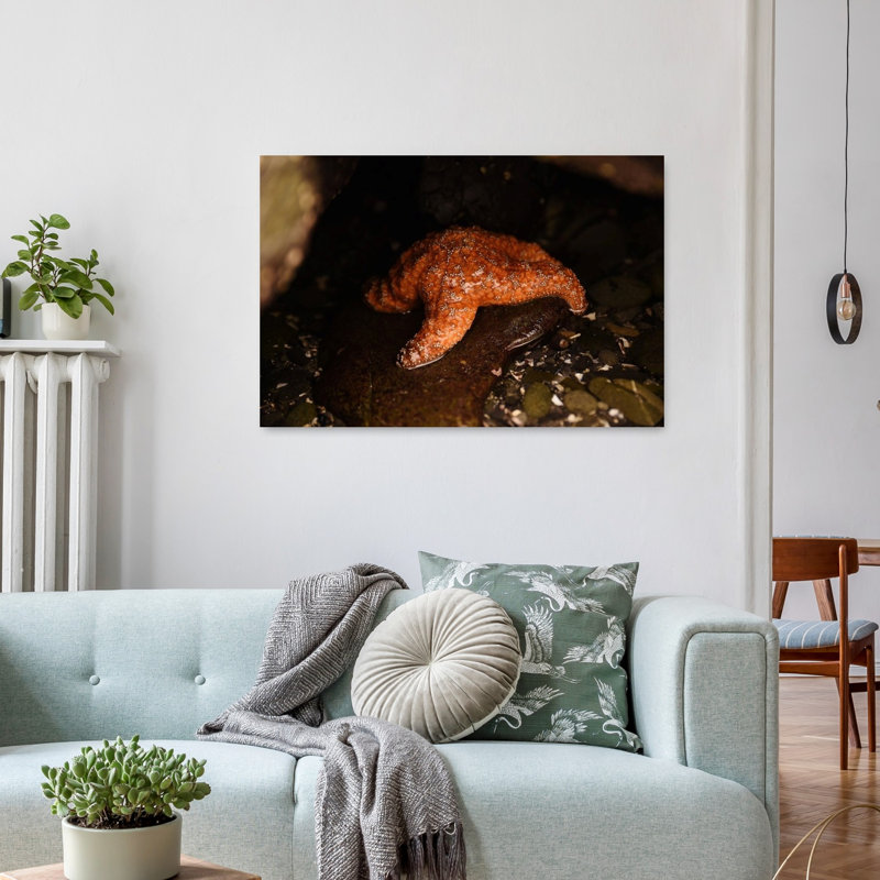 Crescent City Starfish Abstract Starfish Fish Beach City Wall Art Print 1 Piece Wrapped Canvas Wall Art