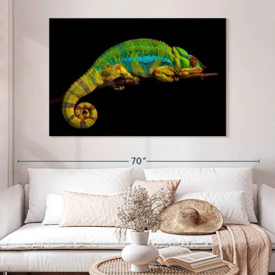 Sleeping Panther Chameleon