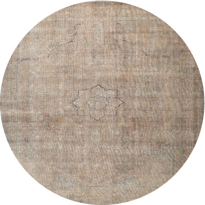 Aiyannah Oriental Indoor Rug