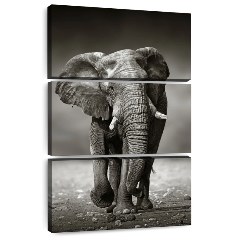 Éléphant de Brampt, H 38 po x l 24 po