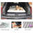 Barlowe 4'' Air Mattress-1762260838